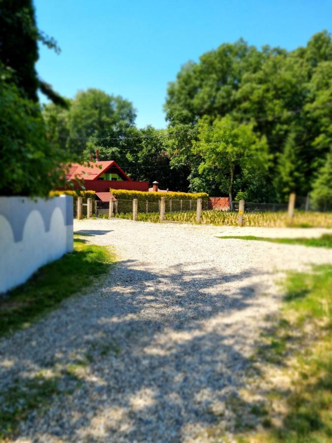 Villa Maxx Bacău