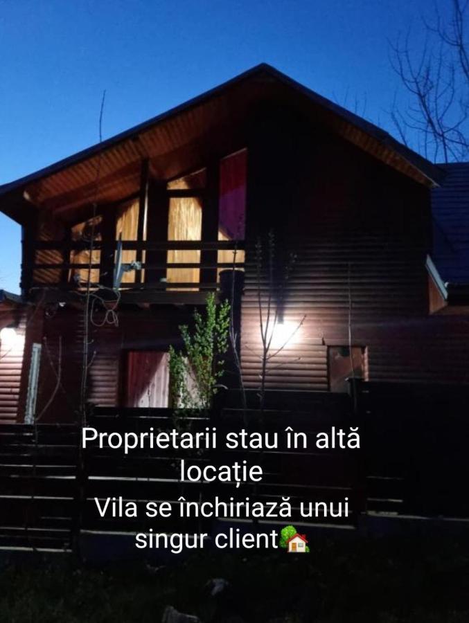 Maxx * Bacău