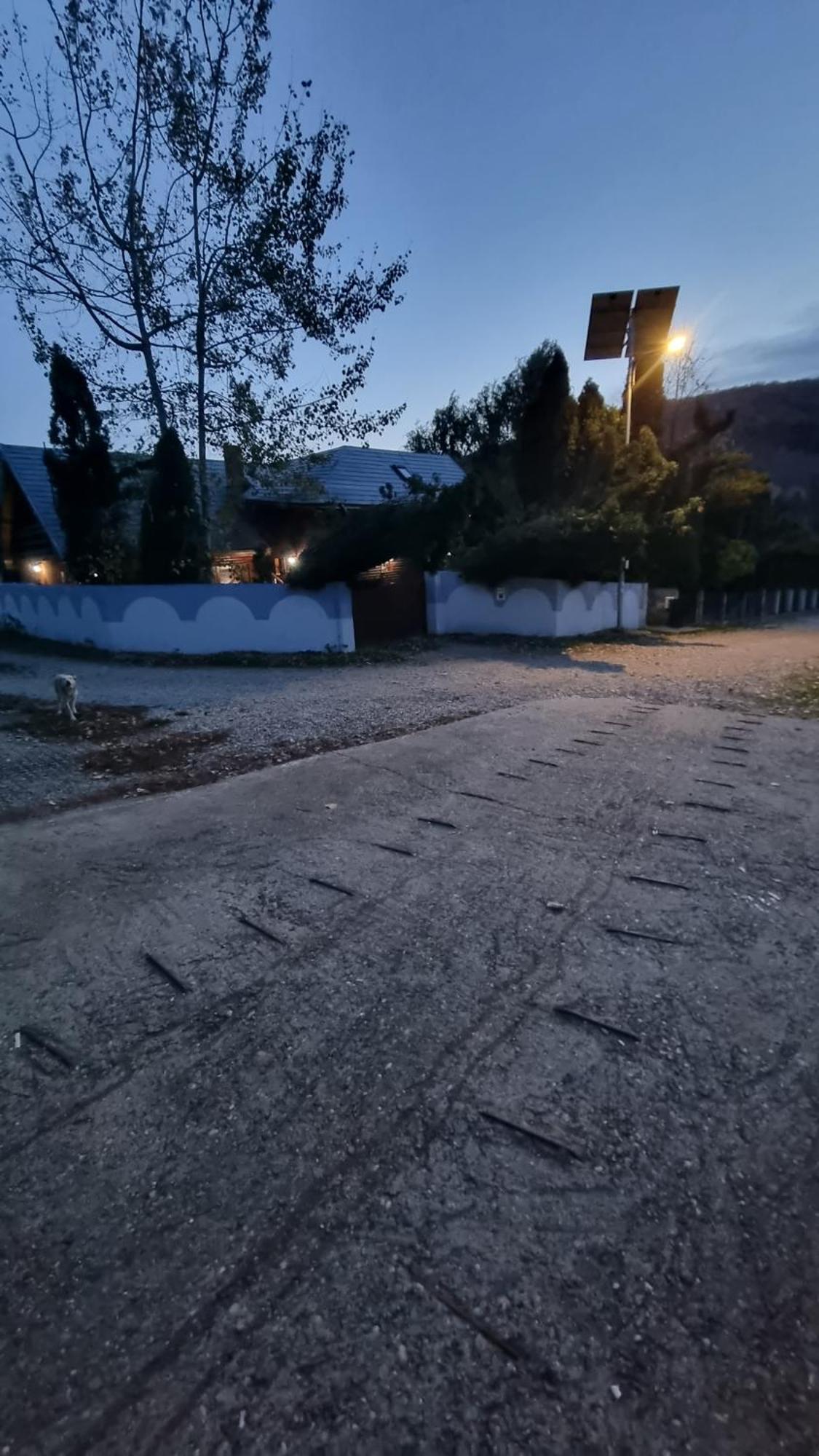 Maxx * Bacău
